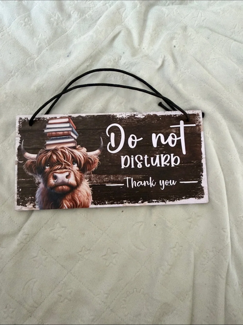Do Not Disturb Wall Sign - Brown Highland Cow Design